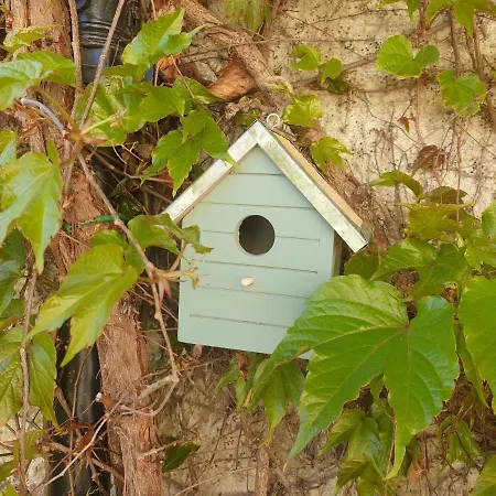 דירה Petite Etoile De - Hyper Equipe A 150m D'une De Sable Fin Grande Terrasse Presqu'ile De Charme סן-מנדרייה-סור-מר
