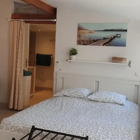 Petite Etoile De - Hyper Equipe A 150m D'une De Sable Fin Grande Terrasse Presqu'ile De Charme *