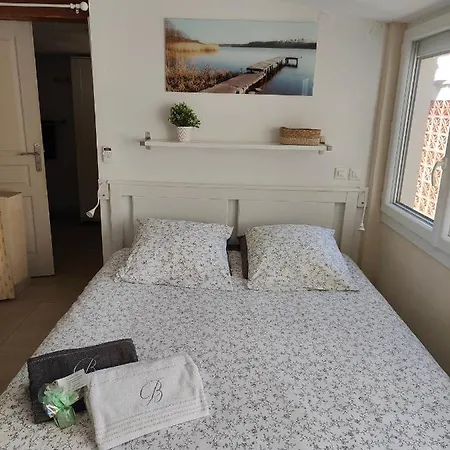 Petite Etoile De - Hyper Equipe A 150m D'une De Sable Fin Grande Terrasse Presqu'ile De Charme דירה סן-מנדרייה-סור-מר