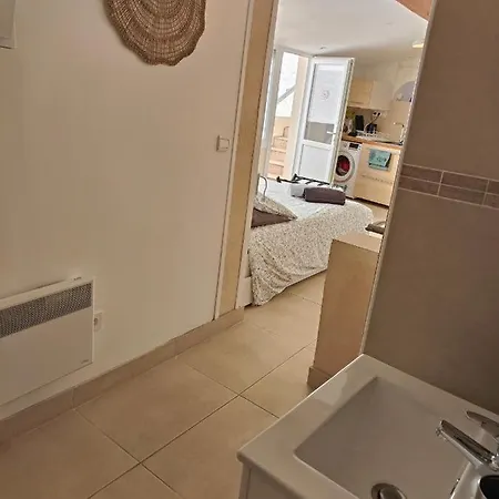 Petite Etoile De - Hyper Equipe A 150m D'une De Sable Fin Grande Terrasse Presqu'ile De Charme